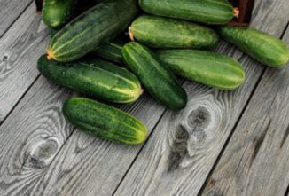 The Secret to Good Pickles